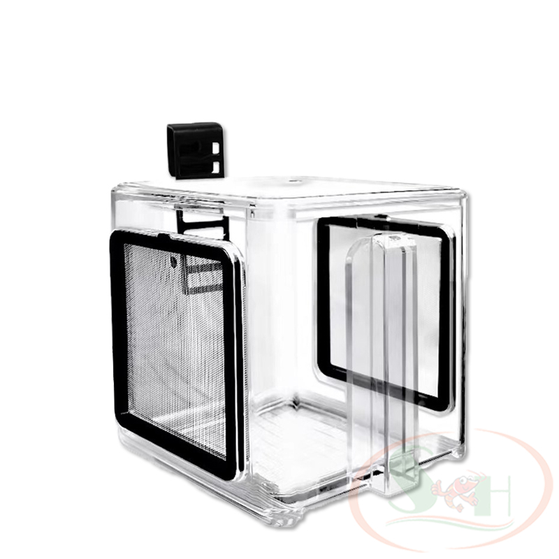Lồng dưỡng mica BSFH Fish Isolation Box hộp tách đẻ dưỡng cây cá tép