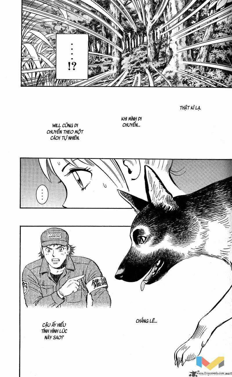 animal sense chapter 12 21