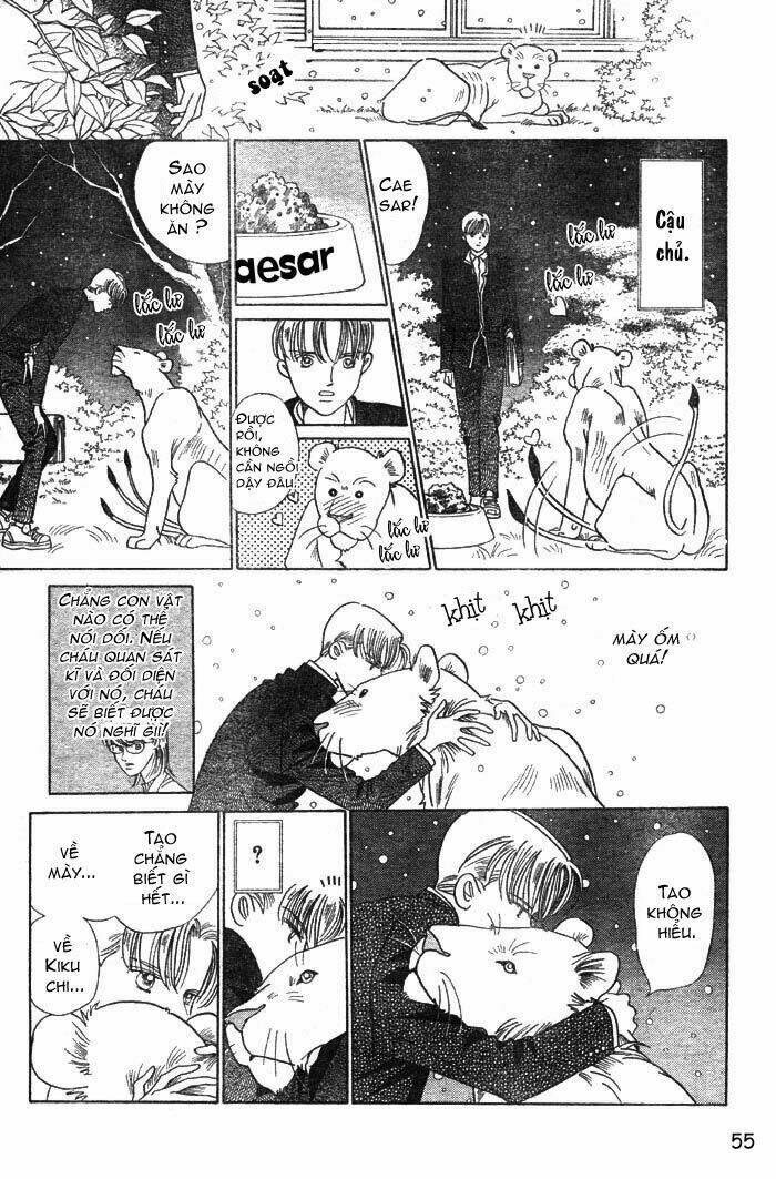 wild cats chapter 1 58