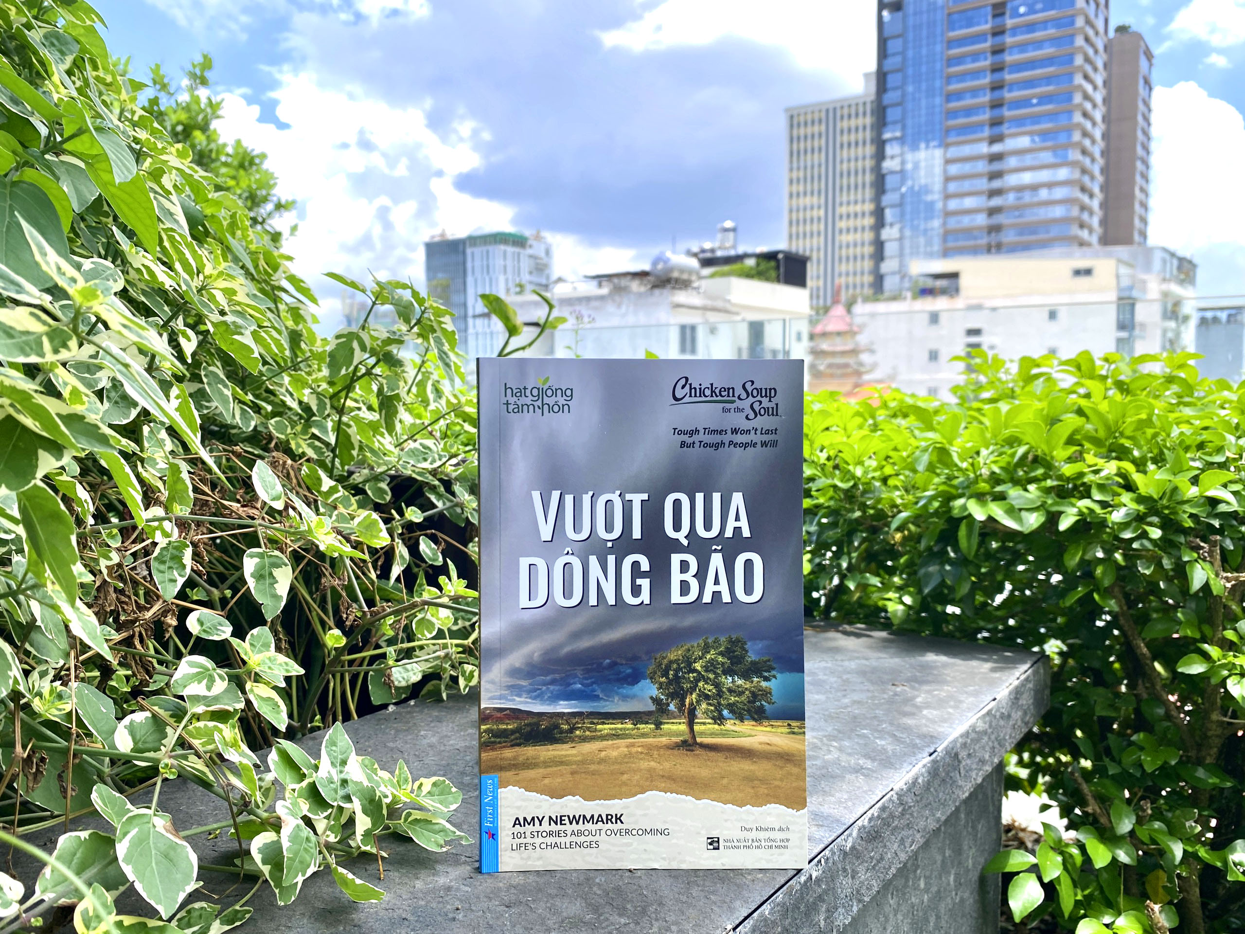 Hạt Giống Tâm Hồn - Vượt Qua Dông Bão