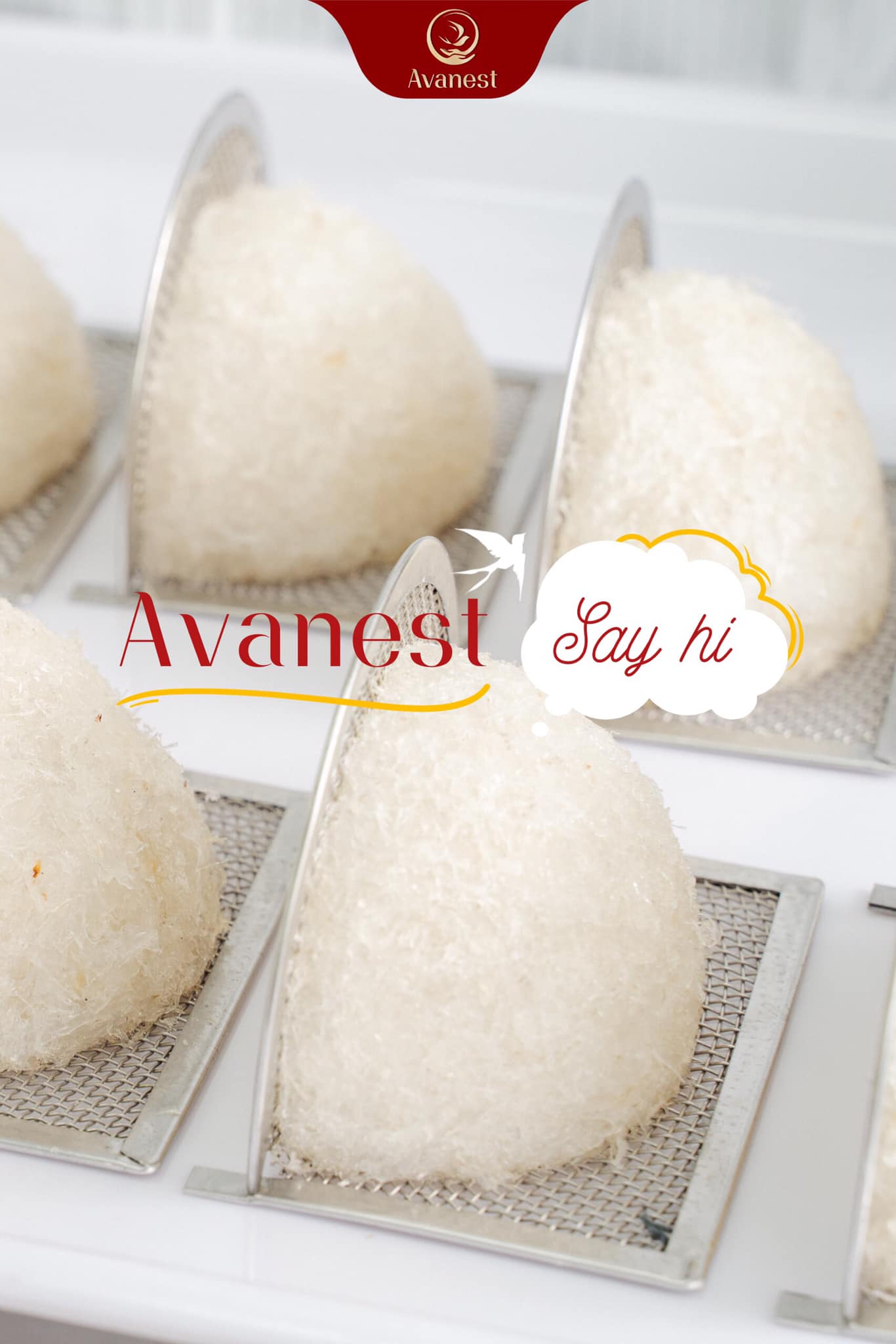 Yến đảo tinh chế Avanest [AVA SỢI MẢNH] 100gram