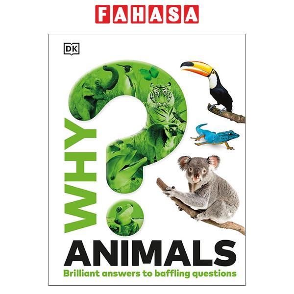 Sách ngoại văn: Why? Animals - Hardback
