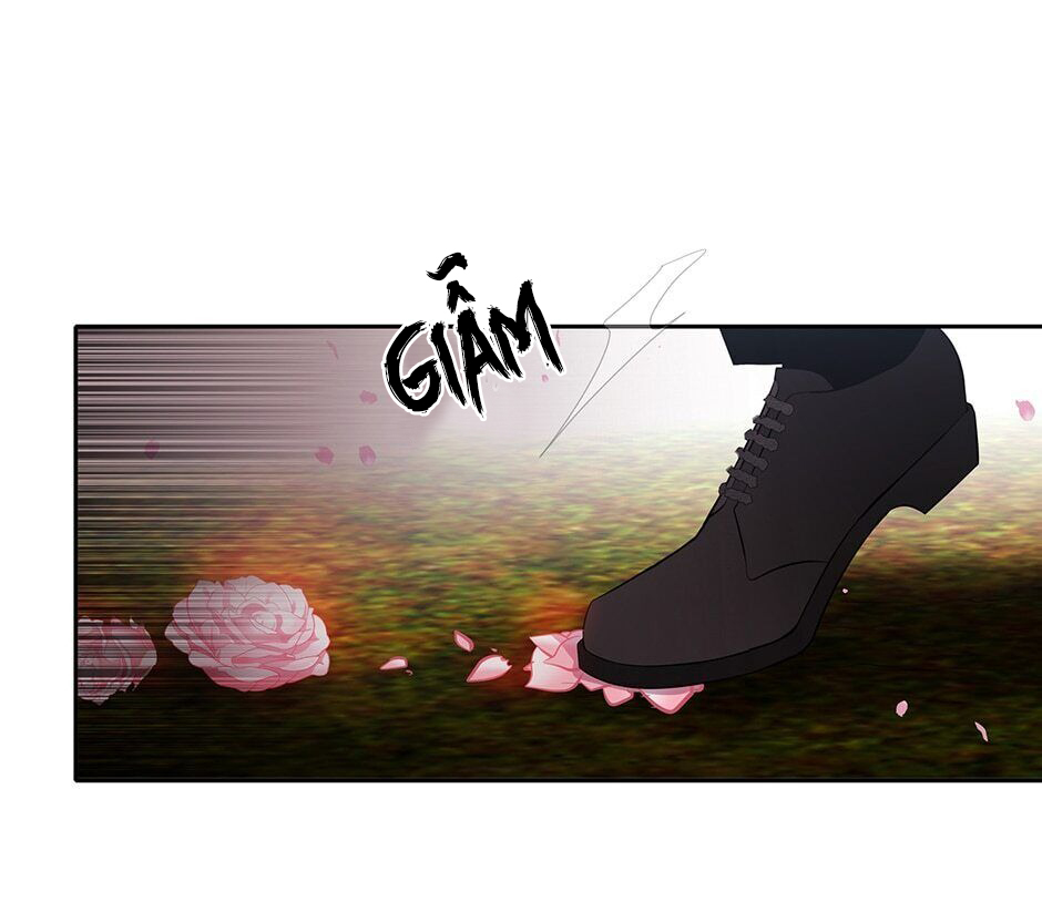 năm môn đệ của charlotte chapter 70 41