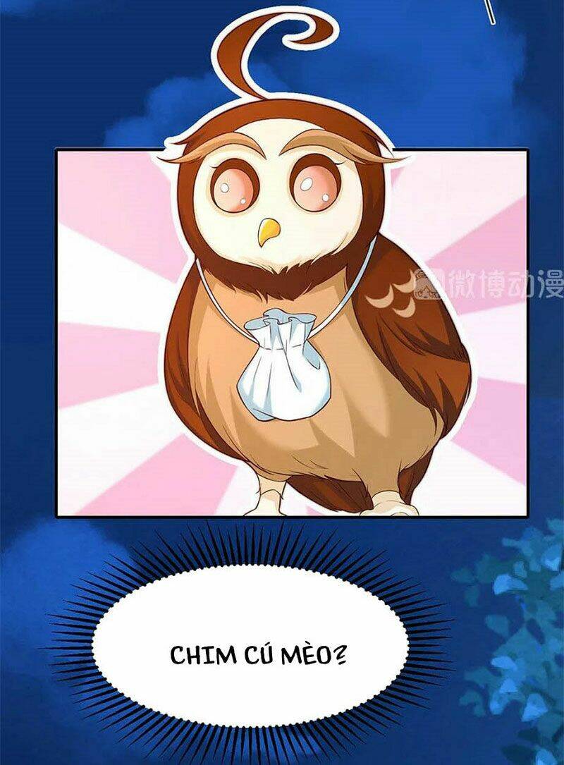 nam thần truy thê chỉ nam chapter 106.2 5