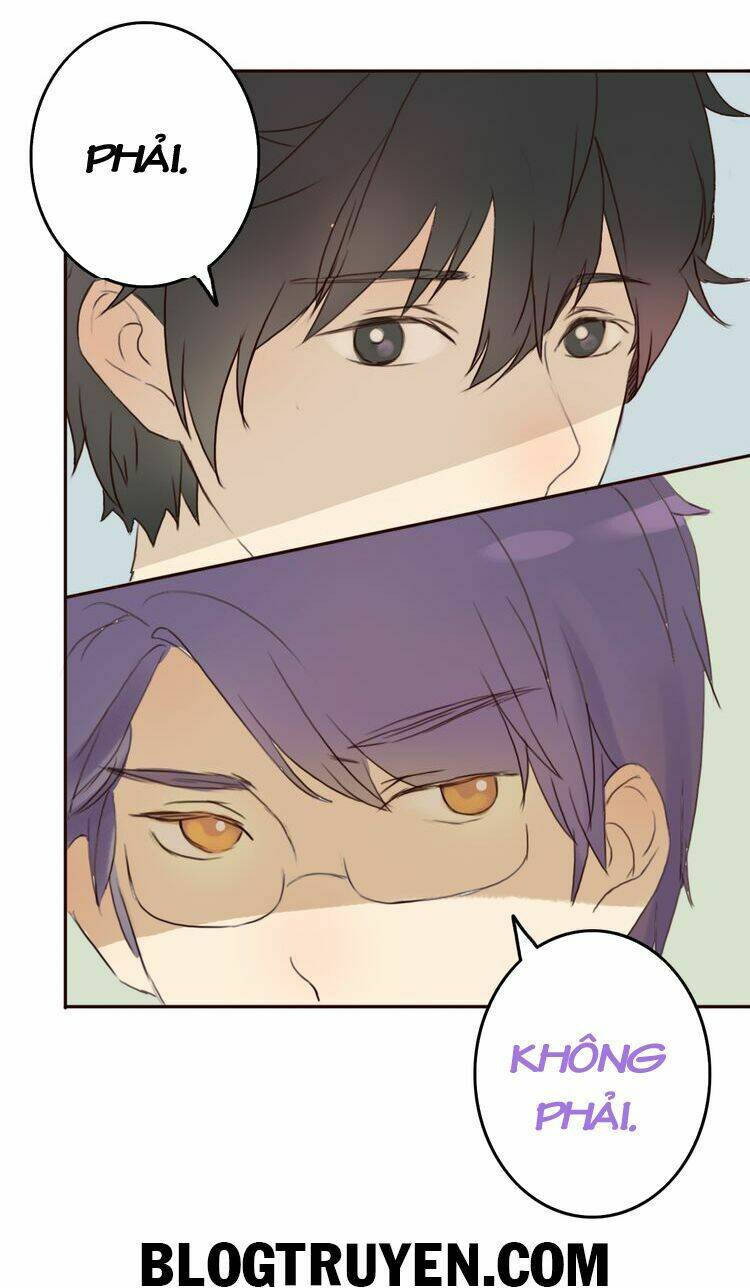 tình yêu không nói dối chapter 12 12