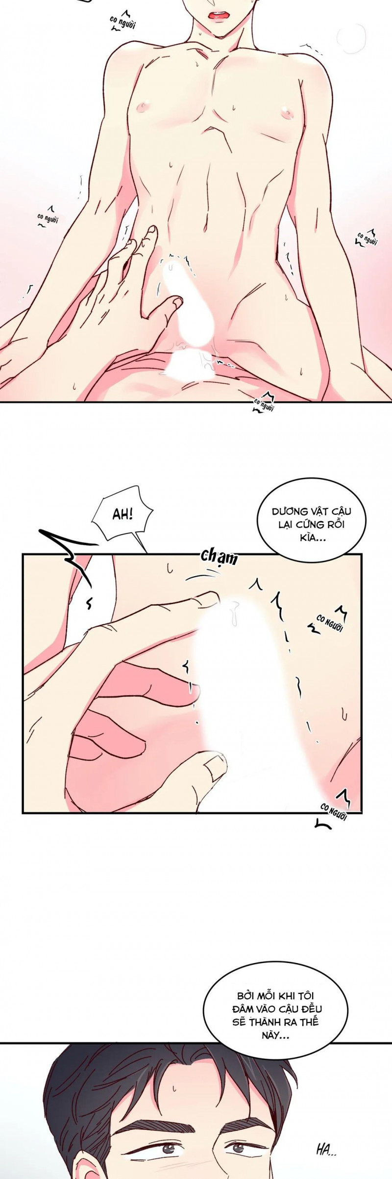 món tráng miệng của sếp tổng chapter 48 12