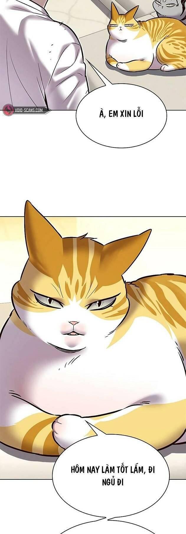 biến thân thành mèo chapter 243 60