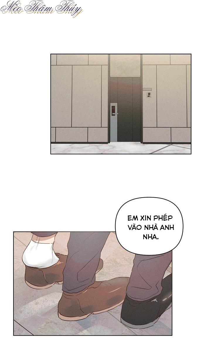 nơi tình yêu định mệnh chapter 2 21