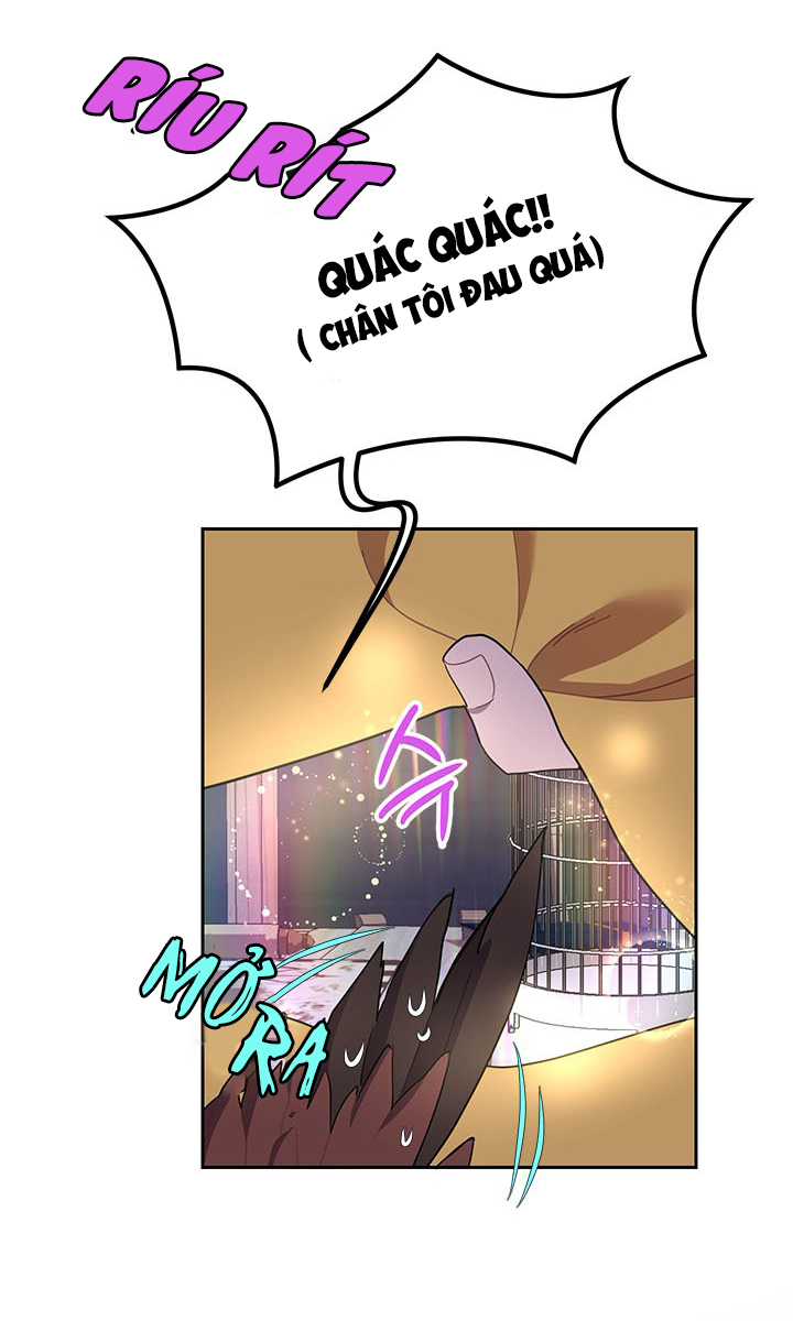 công chúa của loài chim chapter 16 36