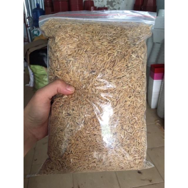 1kg vỏ trấu khô giá thể ươm cây, trồng cây