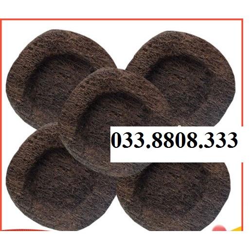4 DỚN TRỒNG LAN  - Chuyên dùng ghép lan