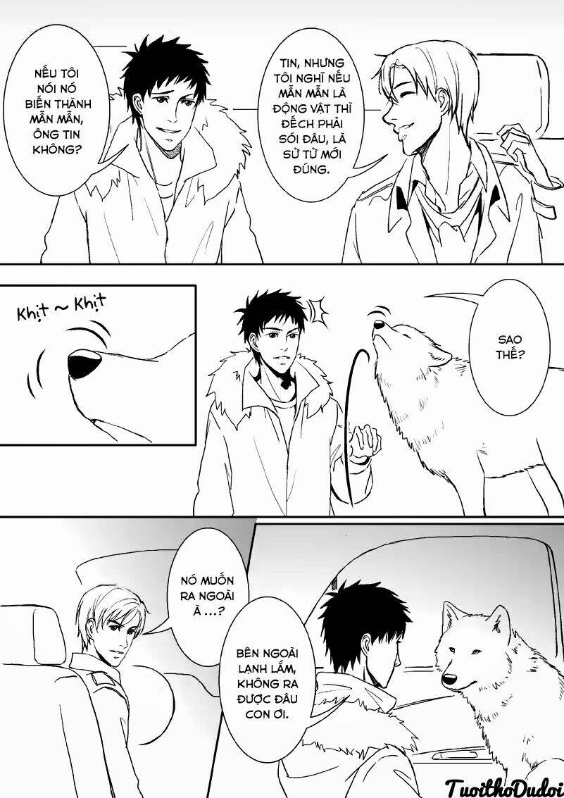 sự mê hoặc của sói chapter 22 5