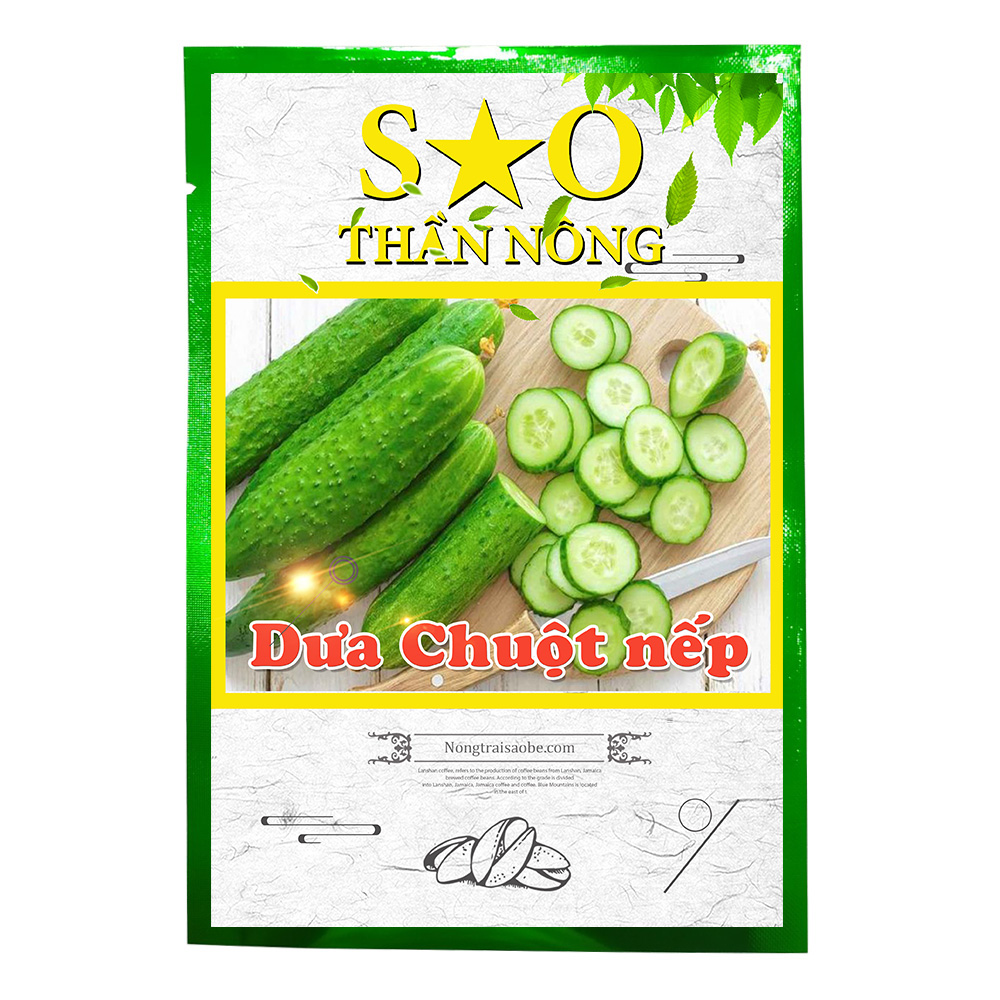 Hạt giống dưa chuột nếp cao sản - hạt giống Sao thần Nông