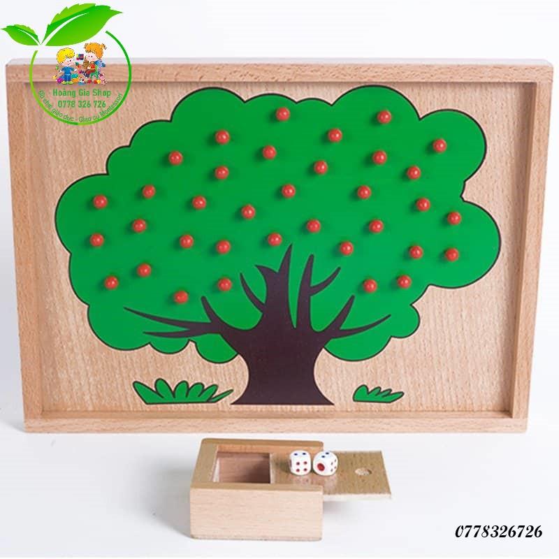 Bài học đếm táo Montessori