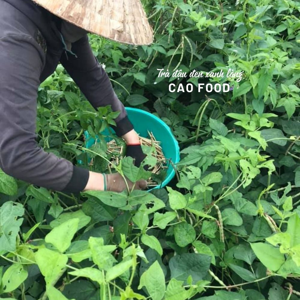 Trà đậu đen xanh lòng CAO FOOD từ hạt giống nguyên bản Đaklak dân trồng sạch tự nhiên 100%