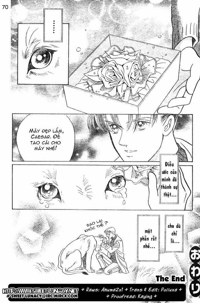 wild cats chapter 1 73