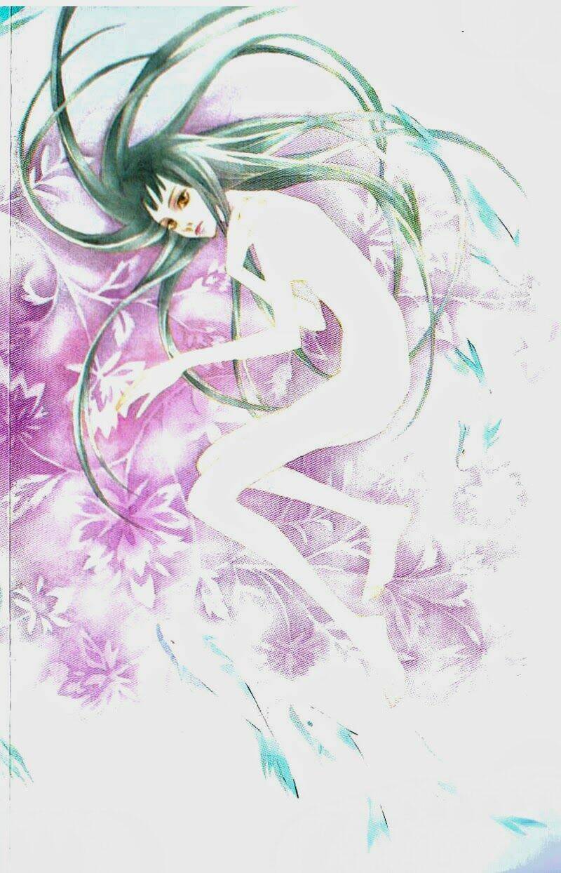 bông hoa của tội lỗi chapter 12 3