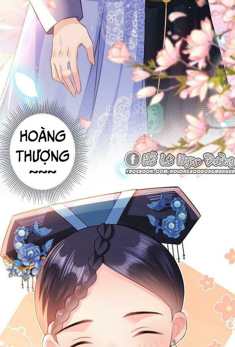 quận chúa vững vàng, thiết lập nhân vật không thể vỡ chapter 55 36