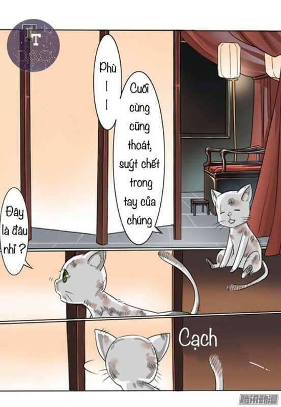 hoàng thái tử, xin nhận nuôi em! chapter 1 7