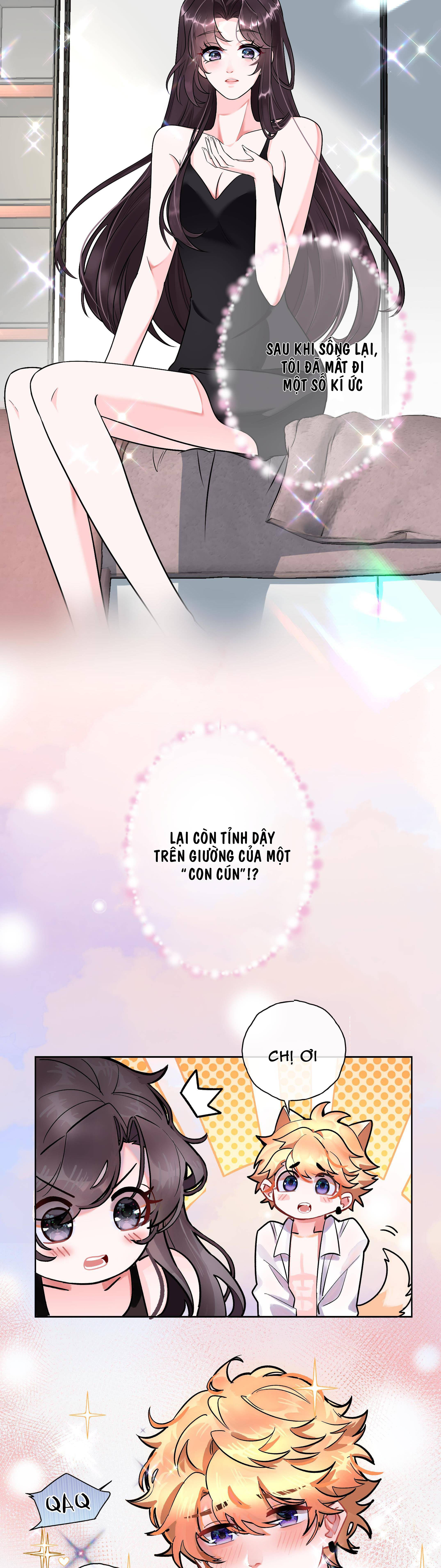 cảnh báo lừa đảo ở phía trước: cạm bẫy ngàn tầng của nữ hải vương chapter 0.1 2