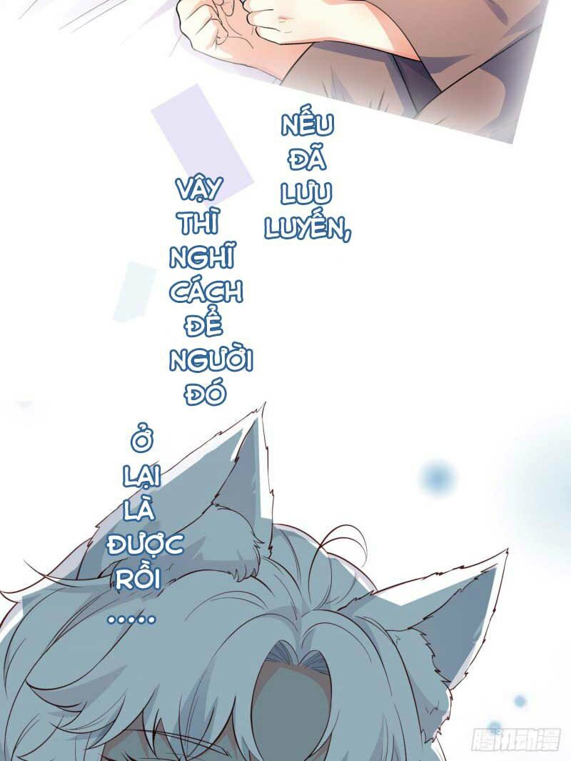 Tiểu Hồ Ly Hôm Nay Có Chút Ngoan chapter 0 16