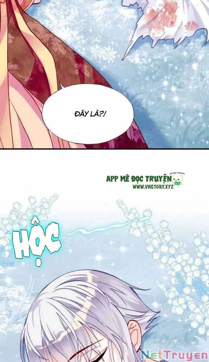 lại bị bệnh chiều chuộng quấn lấy chapter 14 40