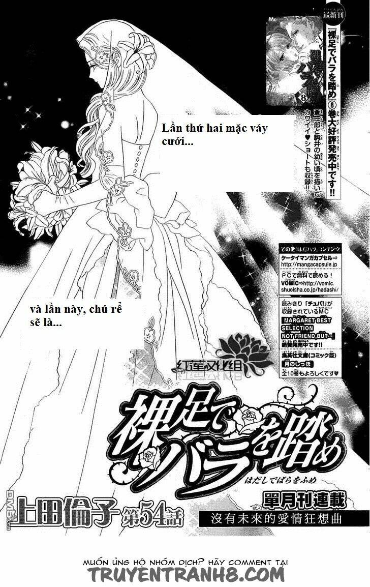 hoa hồng đỏ chapter 54 1