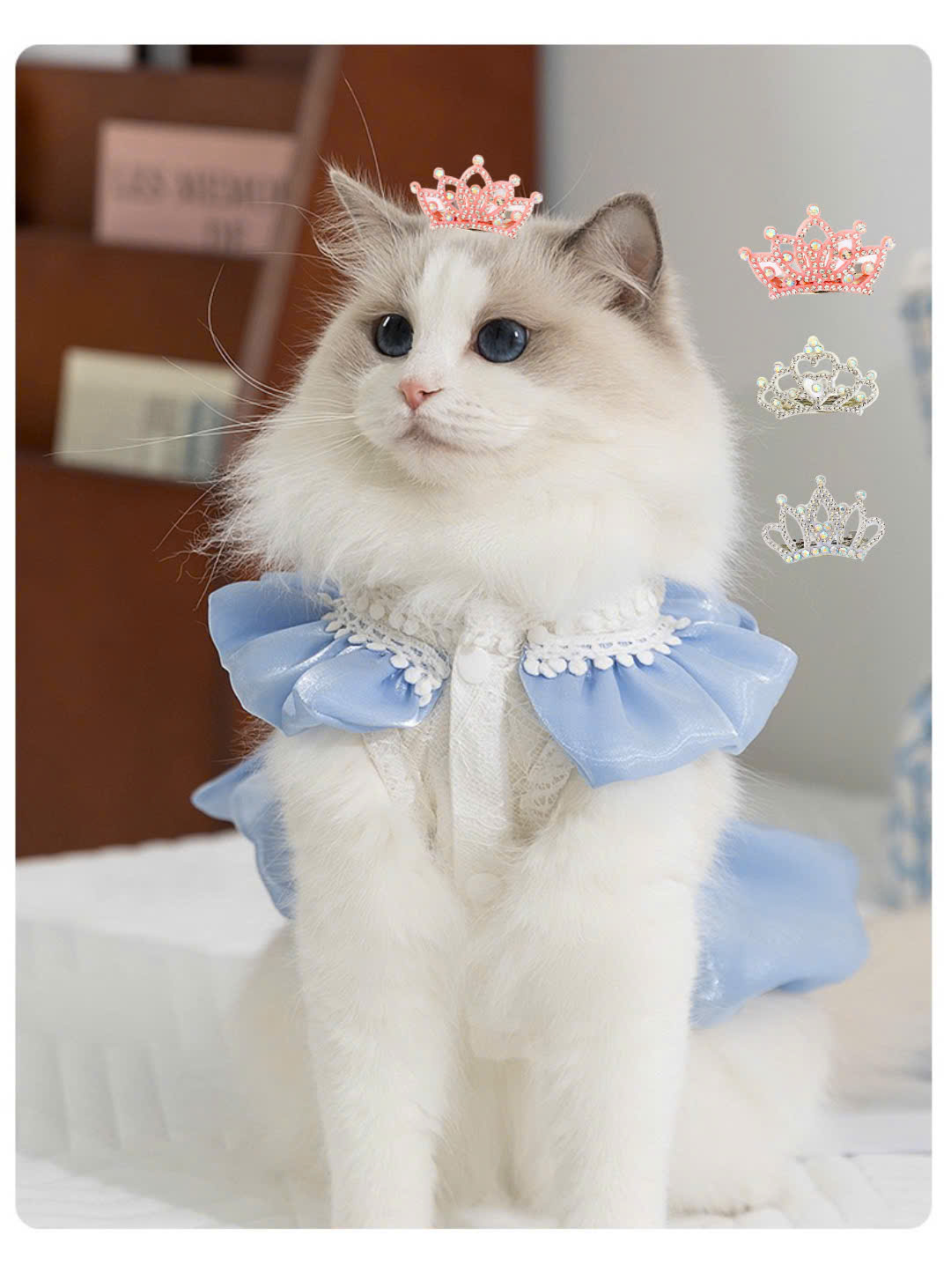 KẸP TÓC CÀI TÓC BUỘC TÓC VƯƠNG MIỆN SANG TRỌNG NHIỀU MÀU DỄ THƯƠNG MÃ 28 XINH XẮN CHO THÚ CƯNG CHÓ MÈO