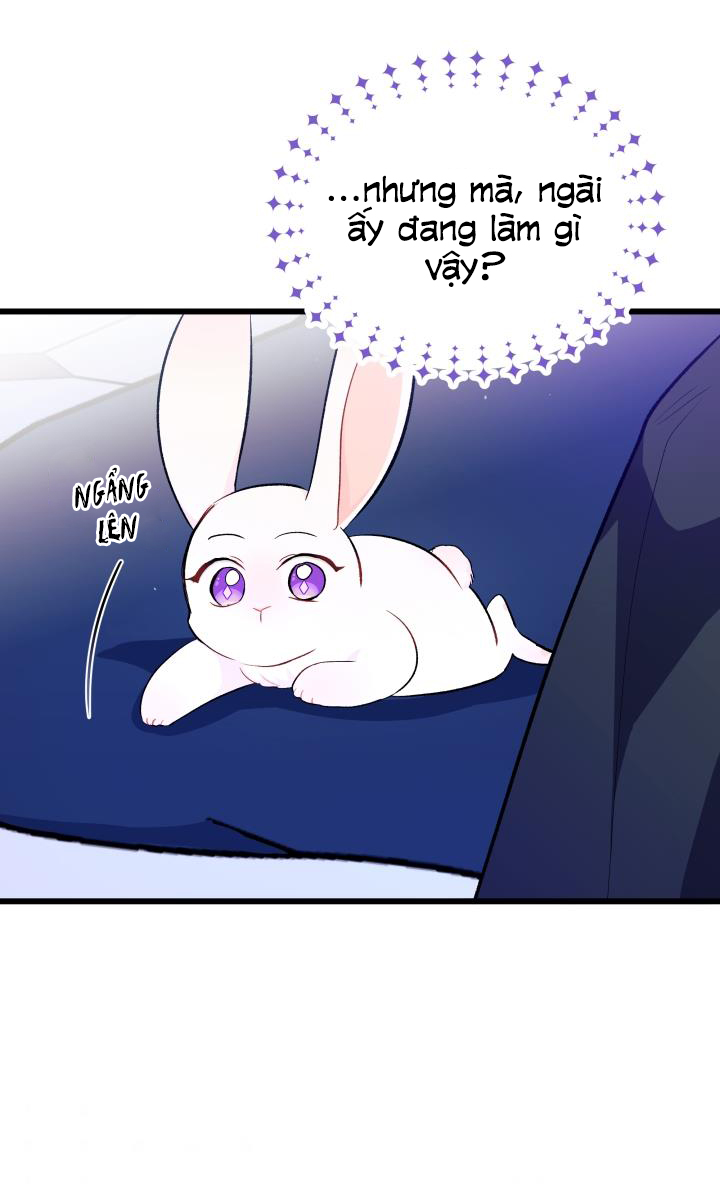 mối liên kết giữa báo đen và bé thỏ chapter 10 27