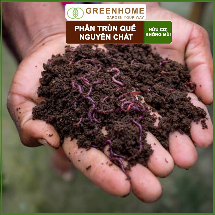 Phân Trùn Quế Greenhome, Lavamix, Bao 2kg, Nguyên Chất, Bổ Sung Dinh Dưỡng, Cải Tạo Đất, Hữu Cơ Tiện Lợi, Bón Rau, Hoa