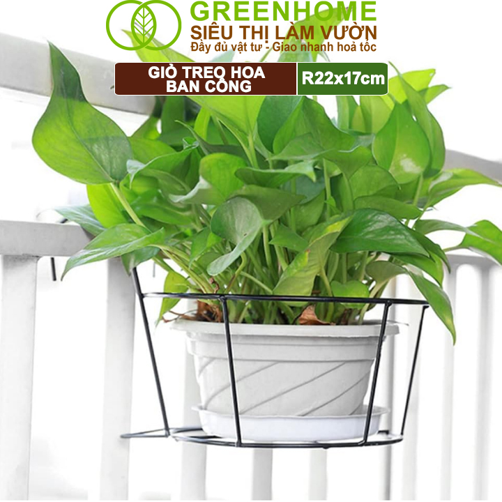 Giỏ treo hoa ban công, D22xC18cm, chất liệu sắt sơn tĩnh điện, phù hợp với mọi lan can |Greenhome