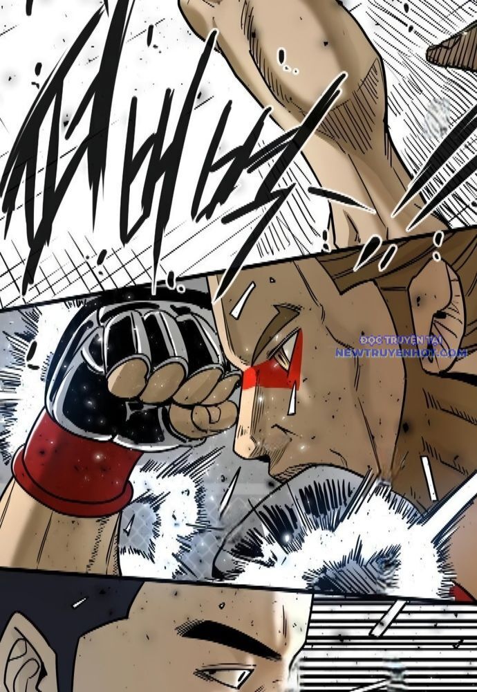 shark - cá mập chapter 330 20