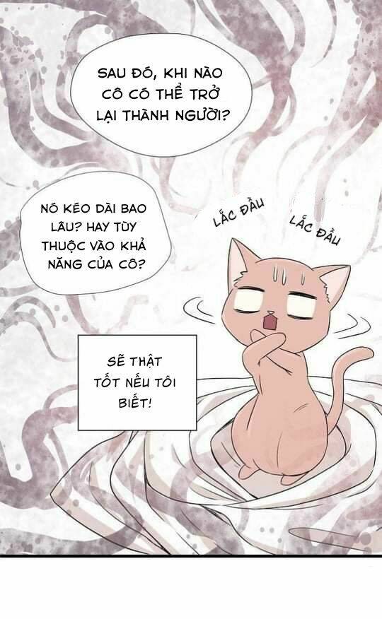một cuộc sống kỳ lạ chapter 2 47