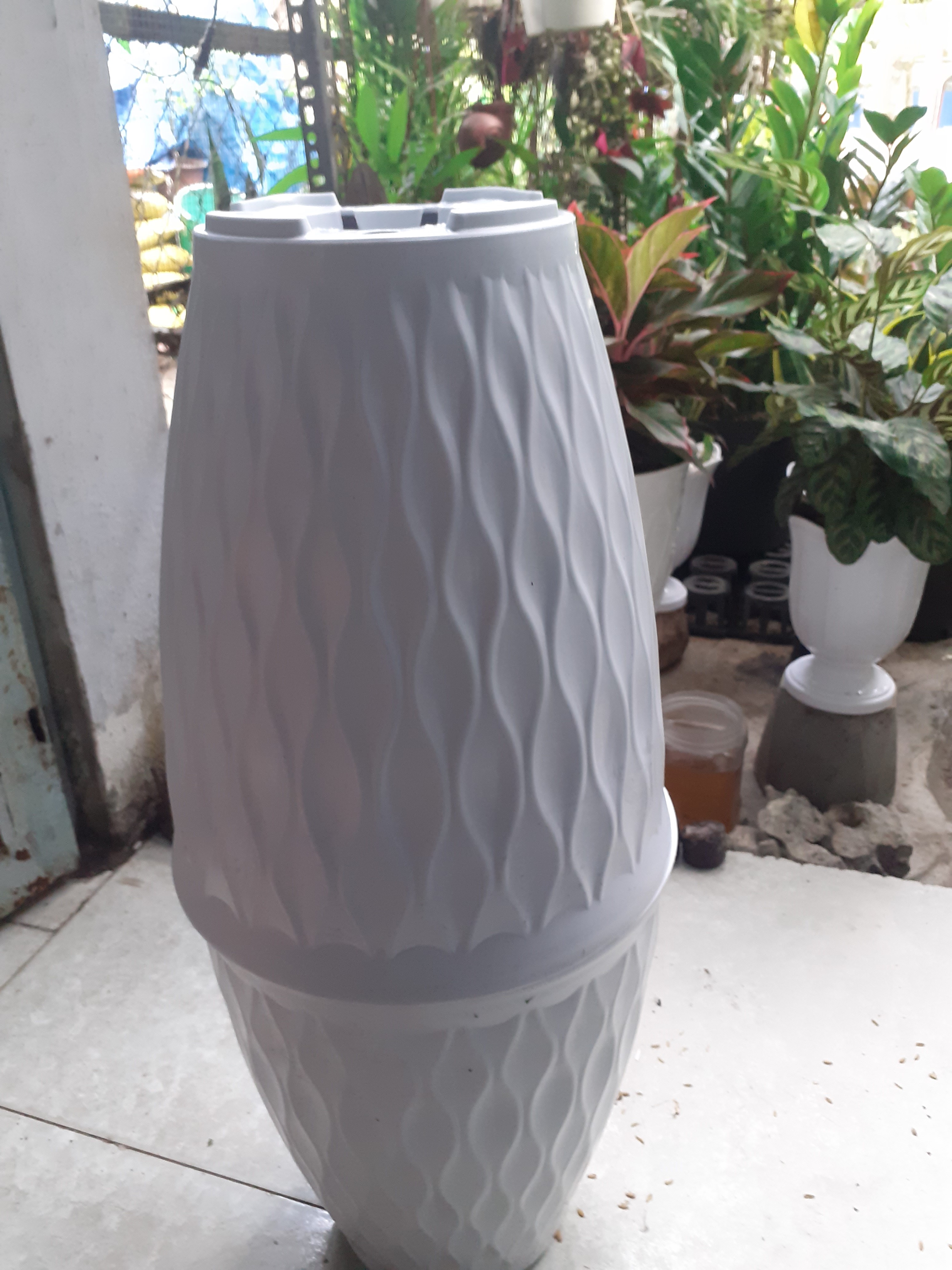 Combo 2 chậu mủ dày trồng kiểng vân sóng siêu đẹp, bền