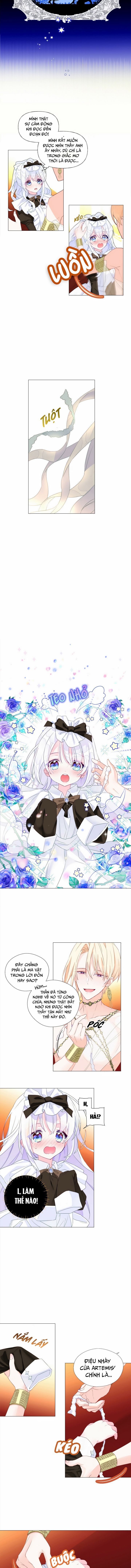 hãy chọn một papa trong số các bạo chúa chapter 4 5