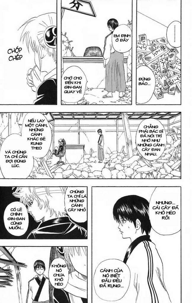 gintama - linh hồn bạc chapter 51 5