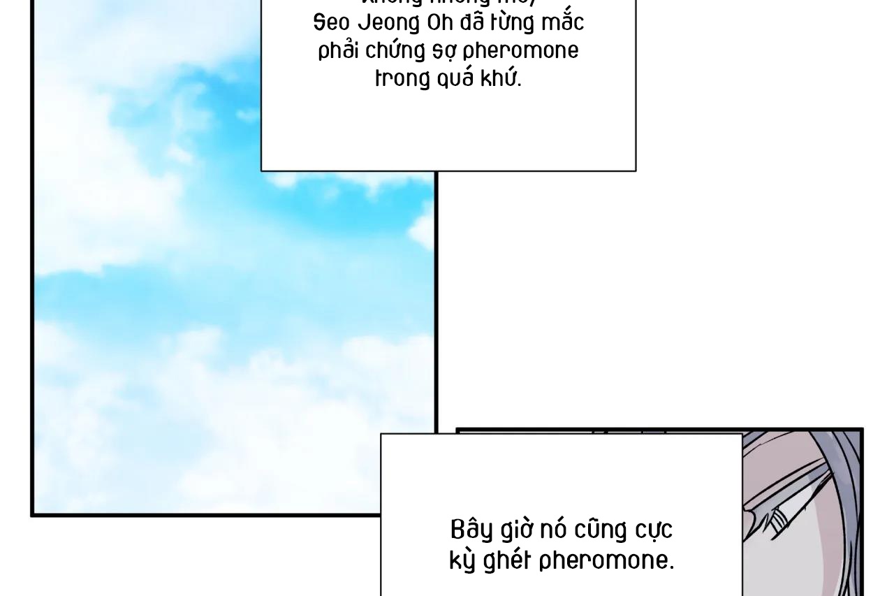 ám ảnh pheromone chapter 64 86