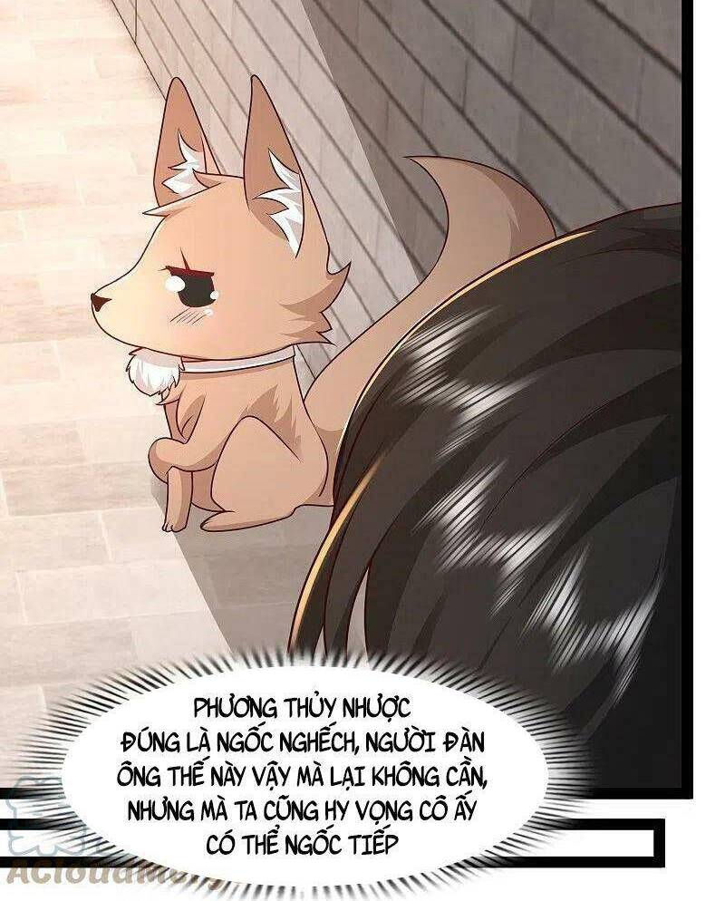 tối cường vận đào hoa chapter 287 19