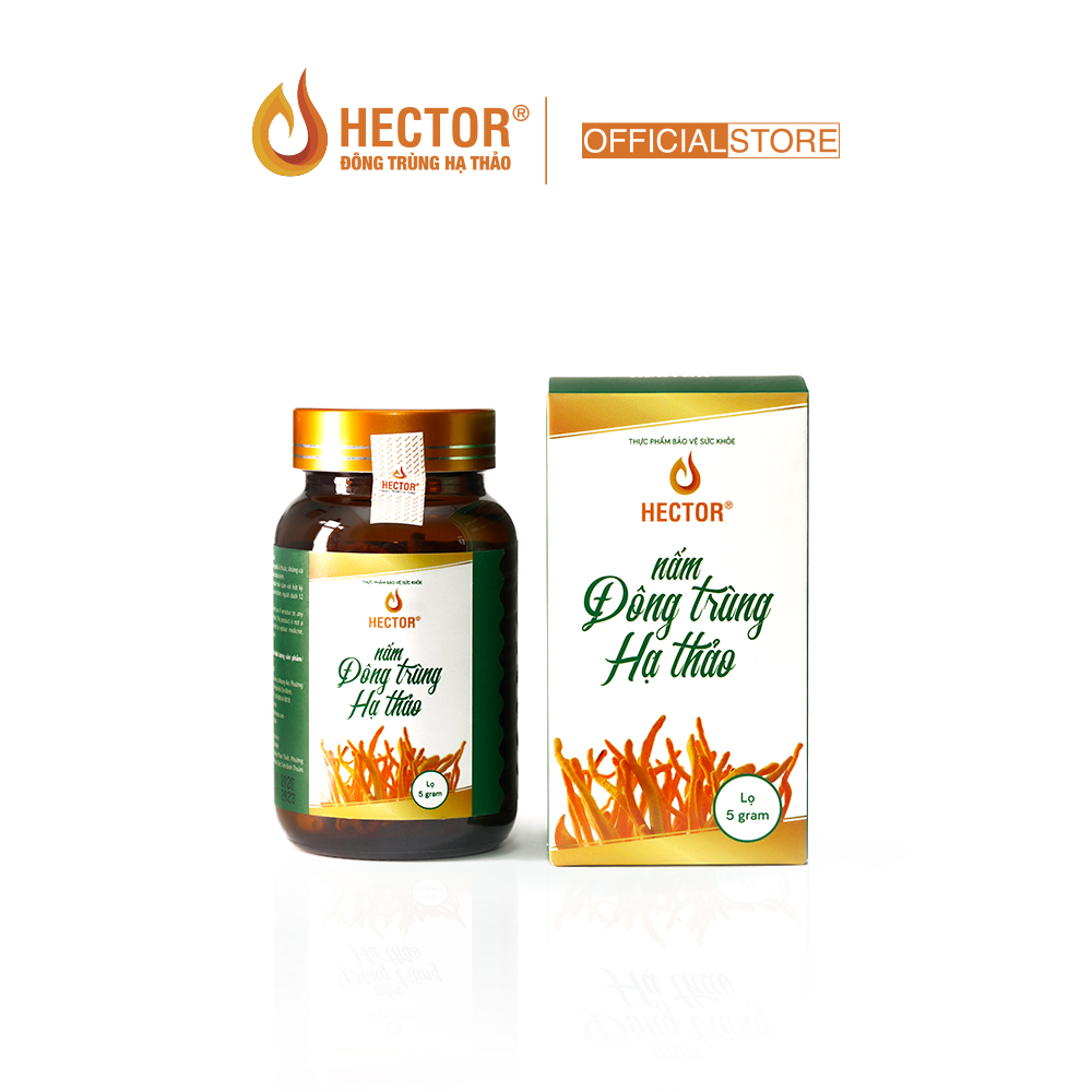 Hộp Đông Trùng Hạ Thảo HECTOR Sấy Thăng 5gr tăng đề kháng, bồi bổ cơ thể