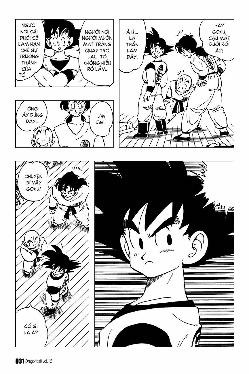 dragon ball - bảy viên ngọc rồng chapter 166 12