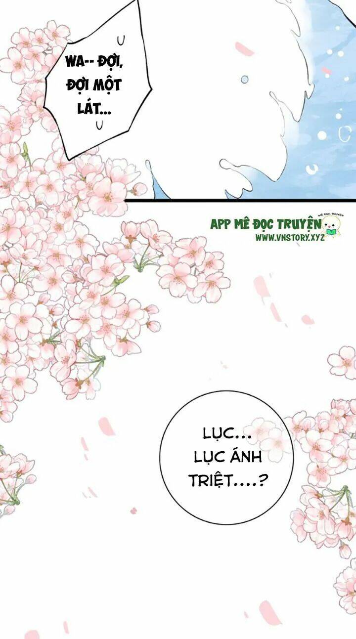 trạch thượng tịch mịch huỳnh hỏa chapter 43 53