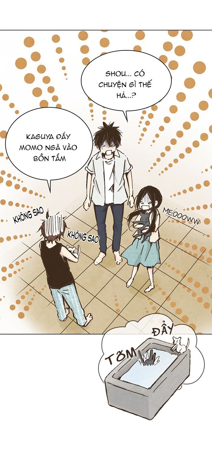 honey! honey! marry me! chapter 42 17