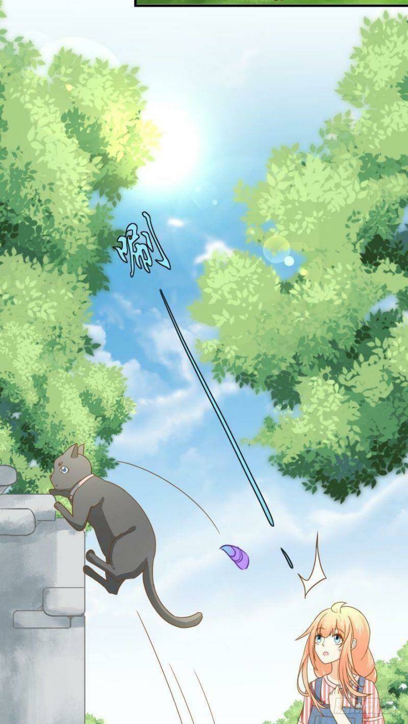 nhân ngư học trưởng, đừng ôm ta! chapter 63 37