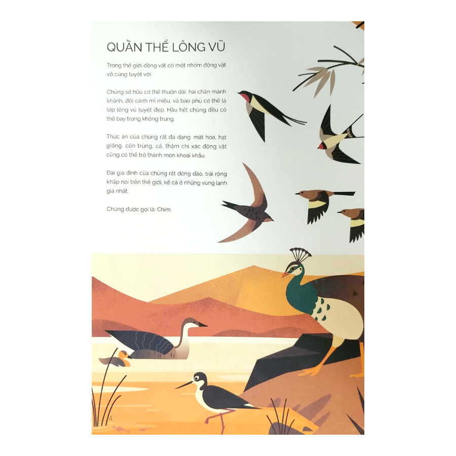 Tung Cánh Trong Không Trung - Bay Lượn Với Chim Muông