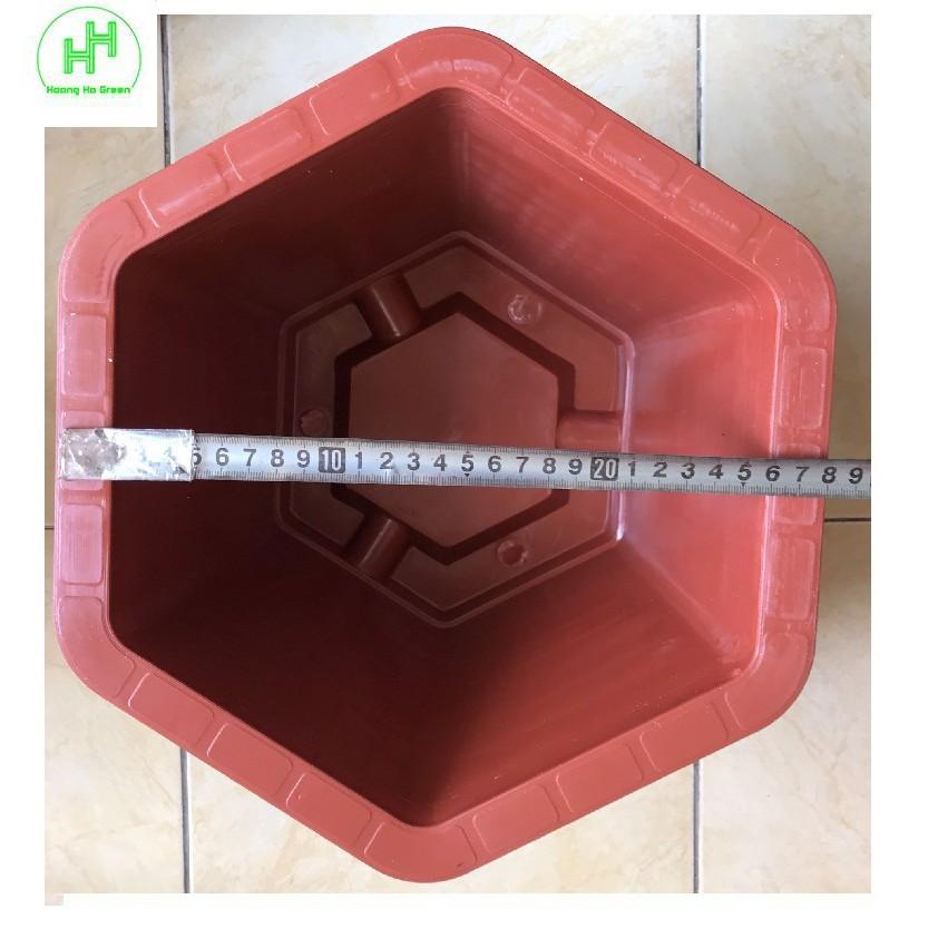 2 Chậu Nhựa Trồng Cây Cảnh, Hoa FA-380 Bình Thuận Plastics