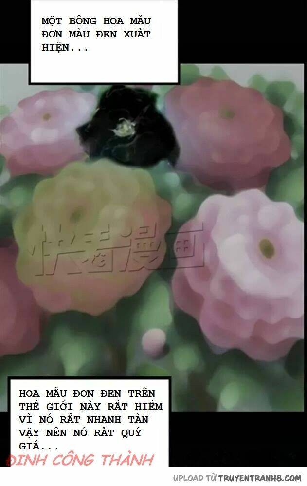 hoa mẫu đơn đen chapter 1 18