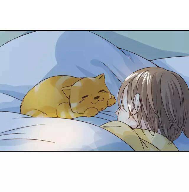 tôi không phải đa nhân cách chapter 27 27