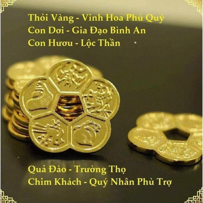 Hộp 5 đồng tiền hoa mai làm quà tặng ý nghĩa