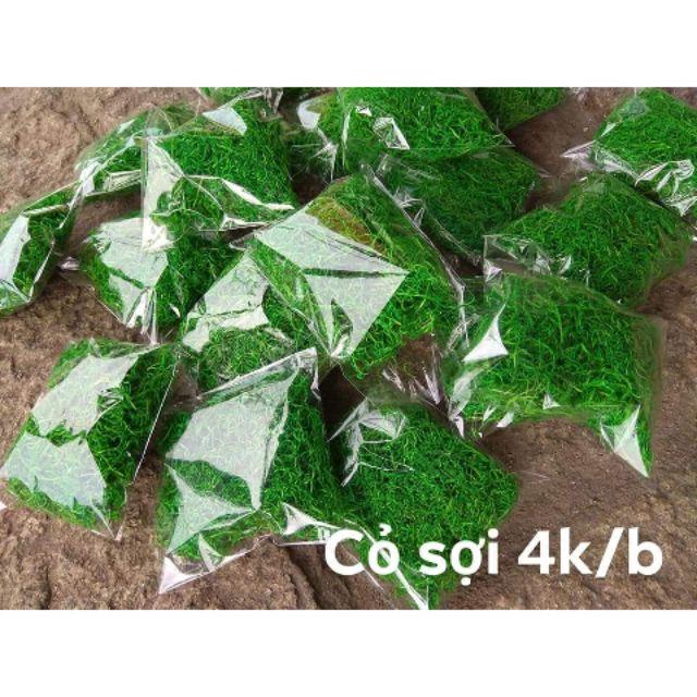 CỎ SỢI TRANG TRÍ