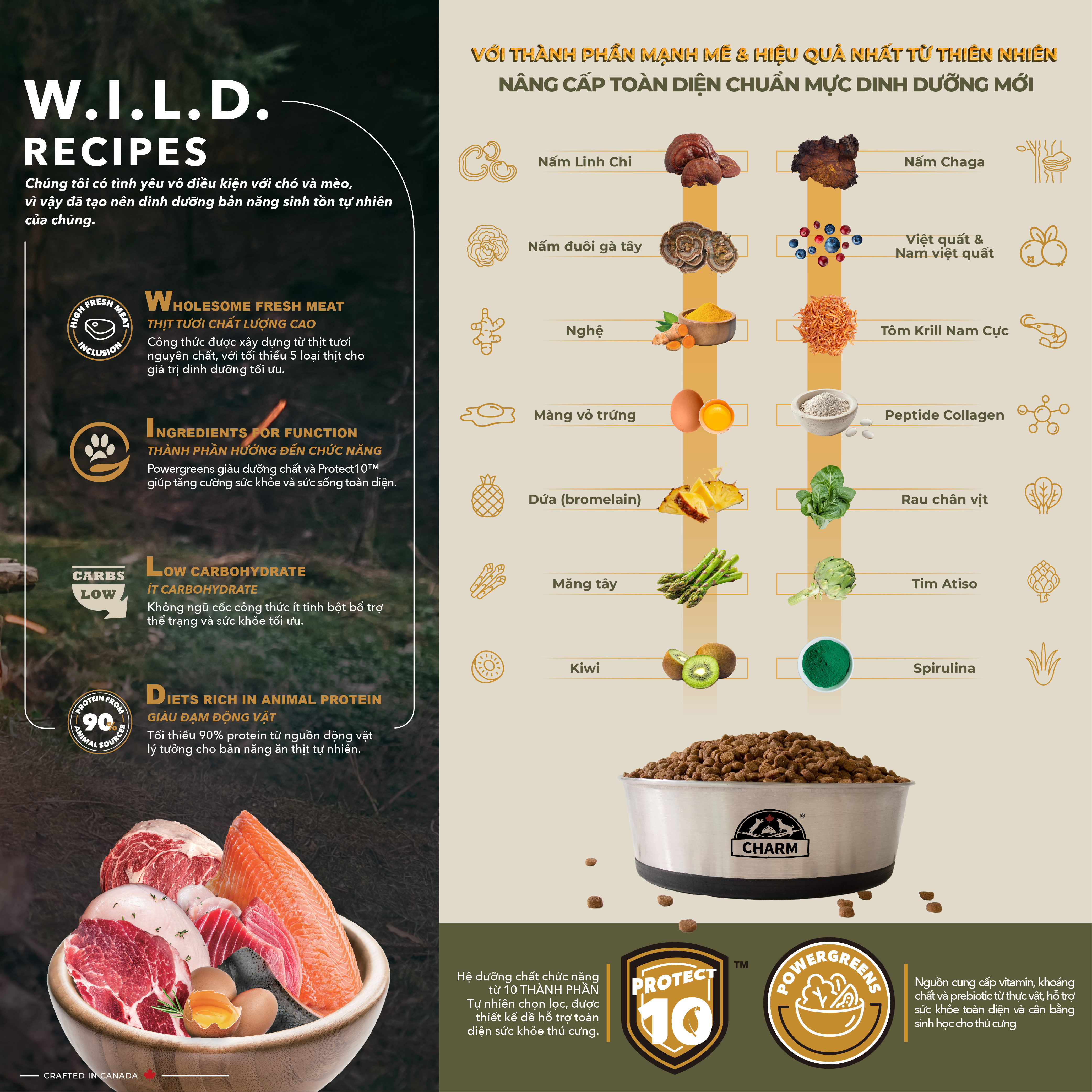 Thức Ăn Hạt Mèo cao cấp Cá Đại Dương CHARM North Atlantic Ocean Fish Cat Food Canada - CHỌN